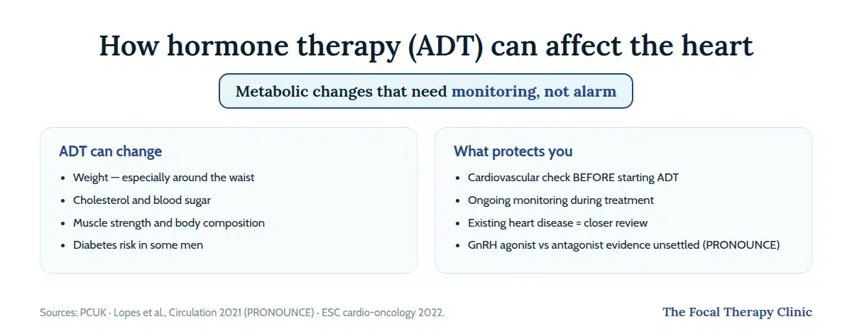 How ADT can affect the heart: weight, cholesterol, blood sugar and body composition changes — and the protections: cardiovascular check before starting, monitoring during, closer review with existing heart disease