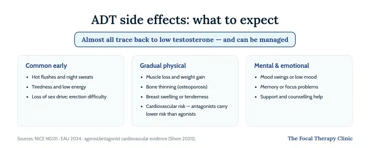 ADT side effects in three groups: common early effects like hot flushes and fatigue; gradual physical effects including muscle loss, bone thinning and cardiovascular risk; and mental and emotional effects such as low mood and memory problems