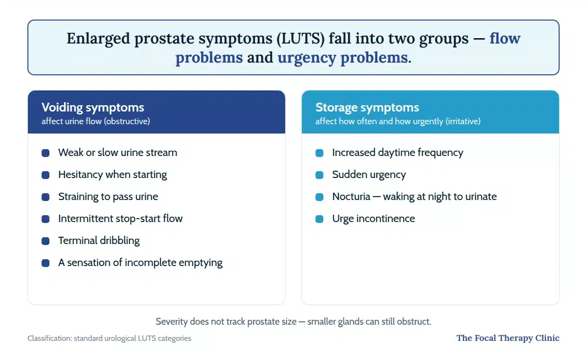 Diagram of enlarged prostate LUTS: voiding symptoms affecting urine flow and storage symptoms affecting frequency and urgency