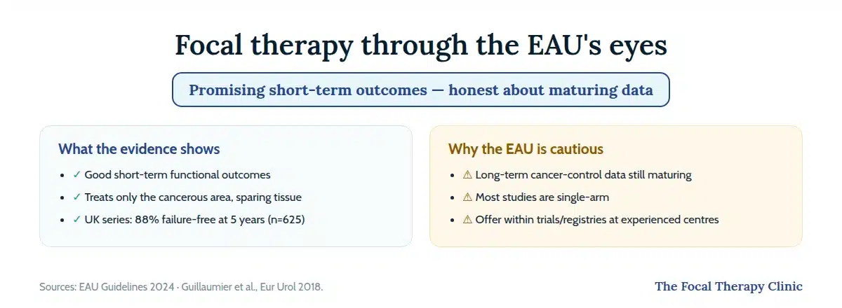 Focal therapy through the EAU's eyes: good short-term outcomes and tissue sparing, with caution because long-term data are maturing and most studies are single-arm