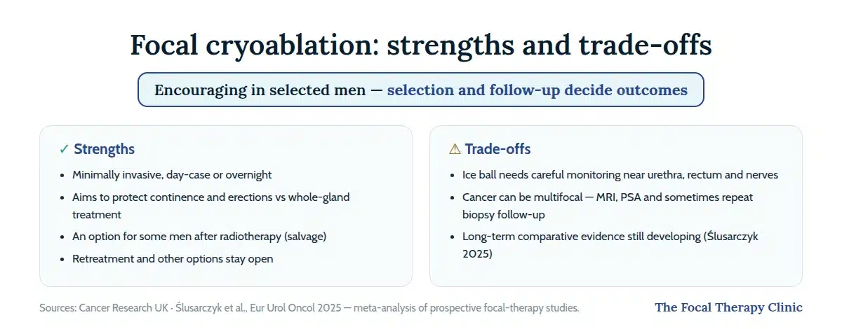Focal cryoablation strengths and trade-offs: minimally invasive with function-preserving aim and salvage role, against monitoring needs, multifocal follow-up and developing long-term evidence