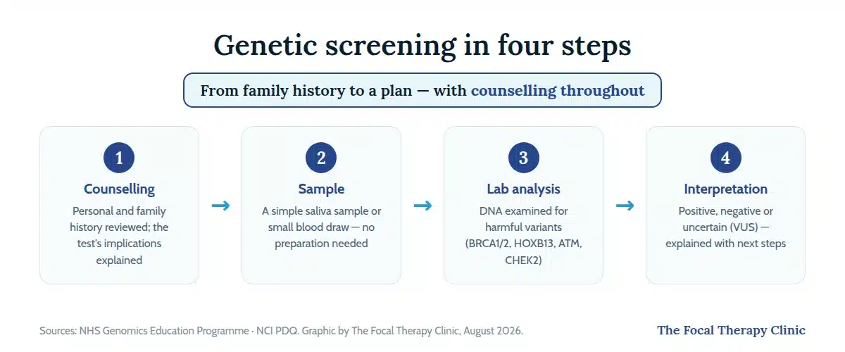 Genetic screening in four steps: counselling on personal and family history, a simple saliva or blood sample, laboratory DNA analysis for harmful variants in BRCA1, BRCA2, HOXB13, ATM and CHEK2, then interpretation of positive, negative or uncertain results with next steps
