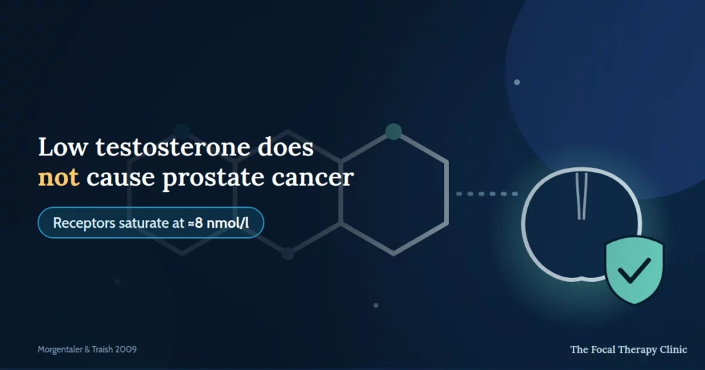 Low testosterone does not cause prostate cancer — receptors saturate at about 8 nmol/l Saturation model graph: prostate stimulation rises only at low testosterone levels and plateaus near 8 nmol/l