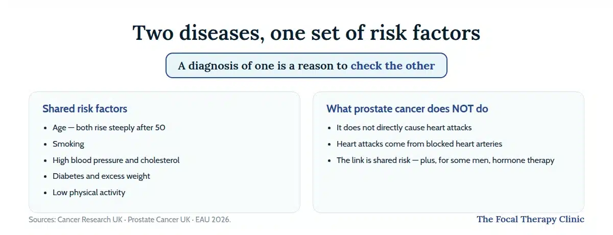 Shared risk factors for prostate cancer and heart disease — age, smoking, blood pressure, cholesterol, diabetes, weight — and what prostate cancer does not do: directly cause heart attacks