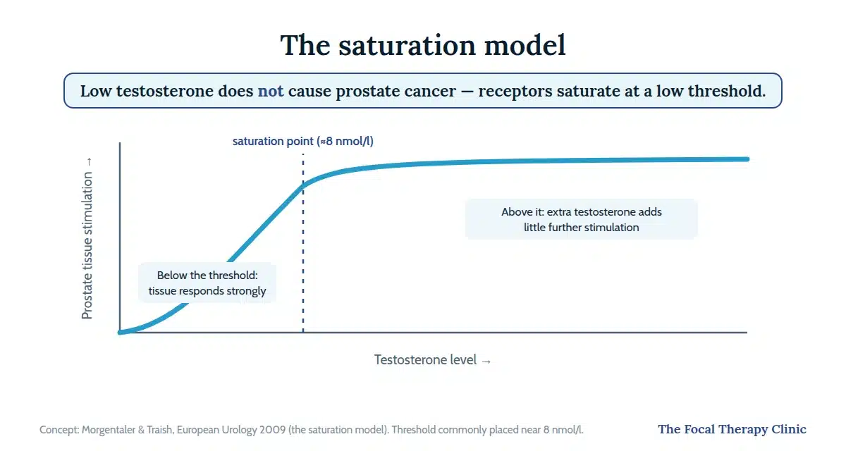 Saturation model graph: prostate stimulation rises only at low testosterone levels and plateaus near 8 nmol/l