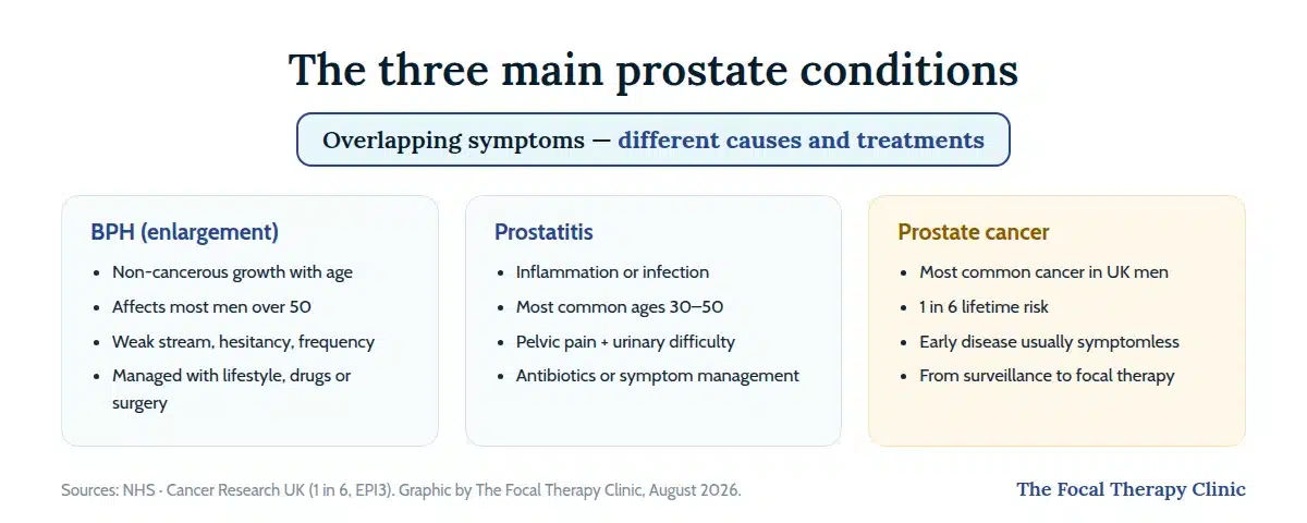 The three main prostate conditions compared: BPH non-cancerous enlargement affecting most men over 50, prostatitis inflammation most common at ages 30 to 50, and prostate cancer with a 1 in 6 lifetime risk and usually no early symptoms
