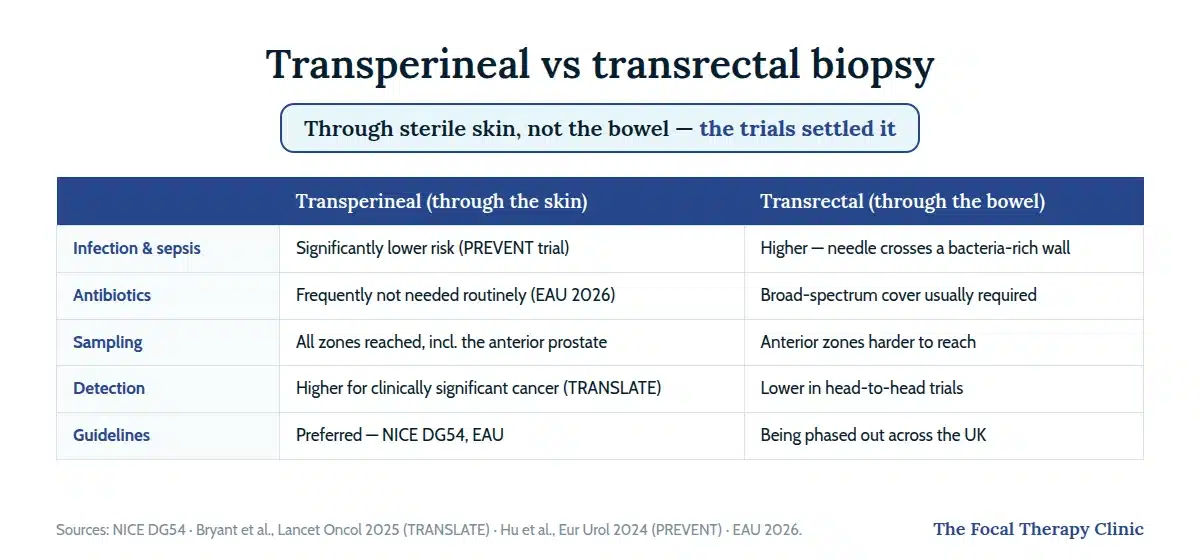 Table comparing transperineal and transrectal biopsy: infection risk, antibiotics, sampling access, cancer detection and guideline positions