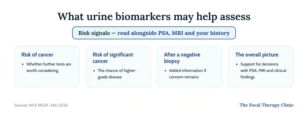 Four things urine biomarkers may help assess: risk of cancer, risk of significant cancer, risk after a negative biopsy, and the overall risk picture