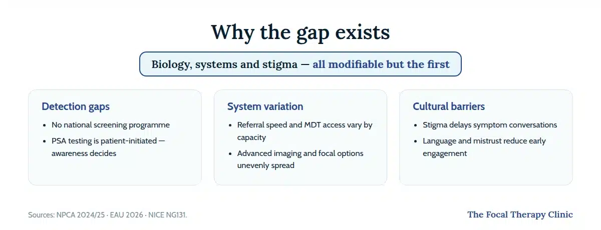 Why prostate cancer inequality exists: detection gaps with no national screening, system variation in referral and technology access, and cultural barriers including stigma